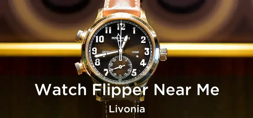  Watch Flipper Near Me Livonia
